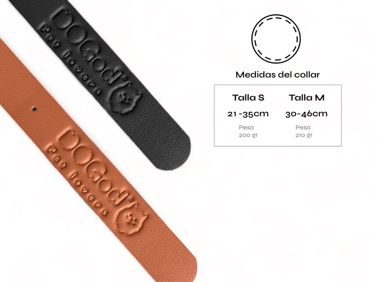 Collar Olympic