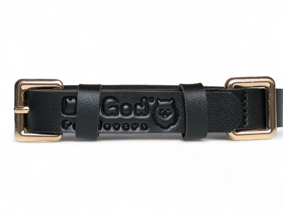 Collar Olympic