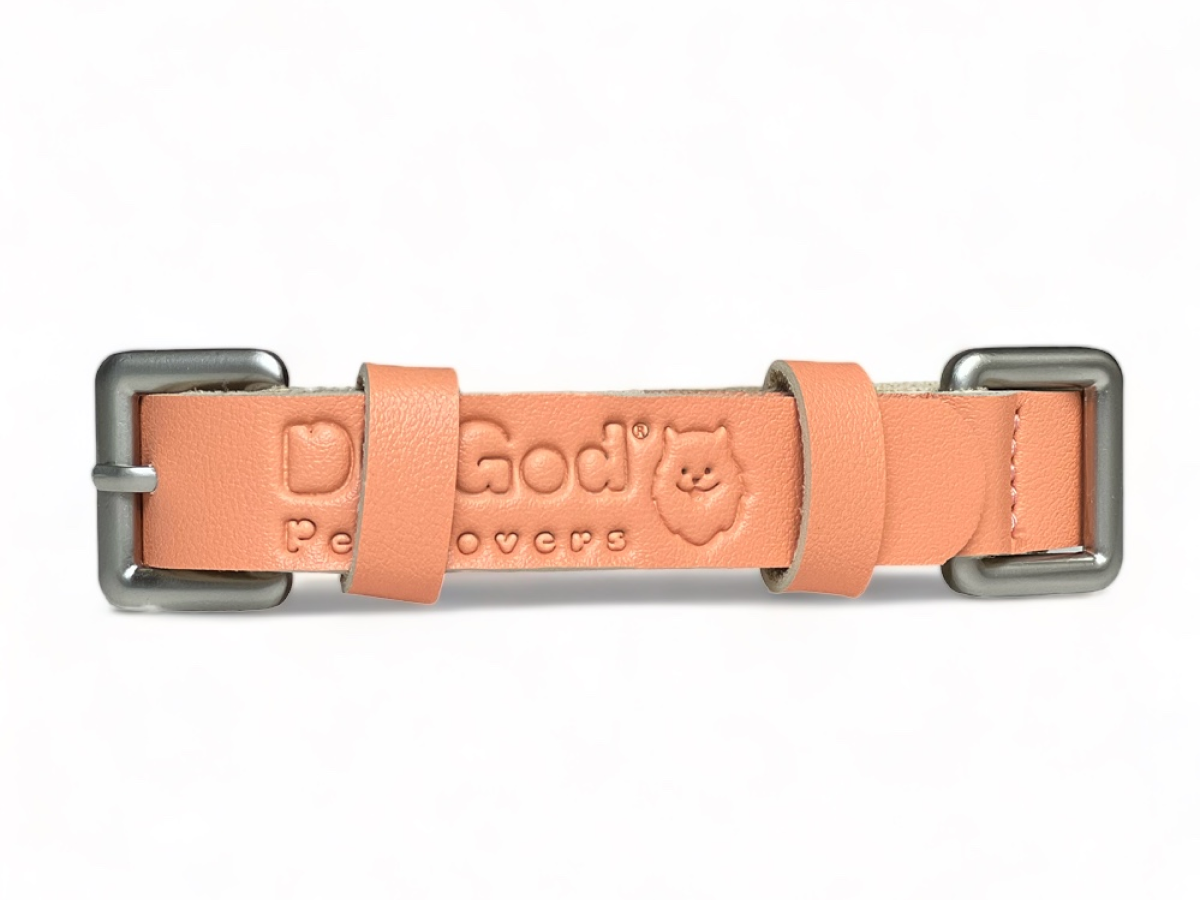 Collar Olympic