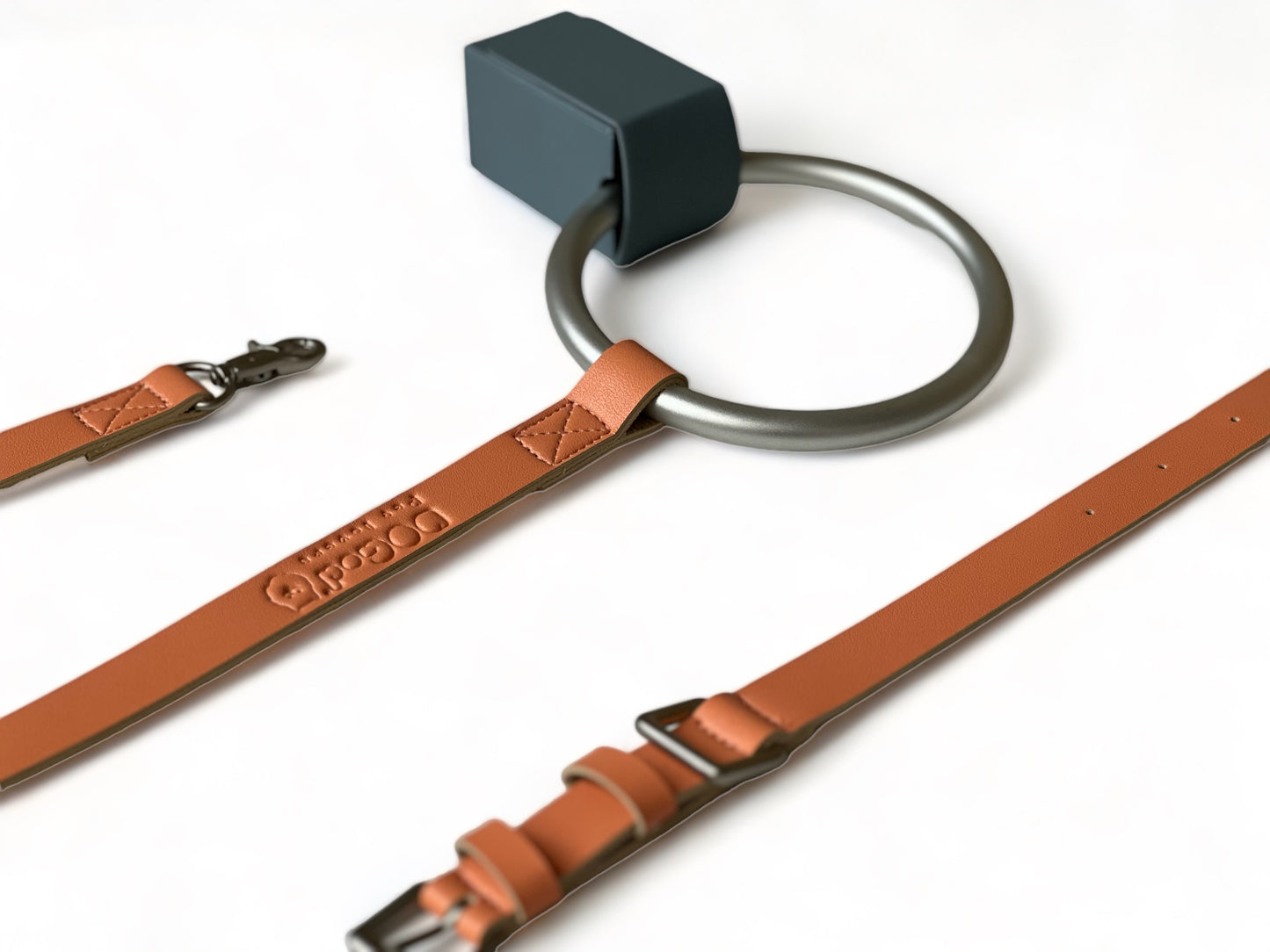 Pack correa y collar Olympic