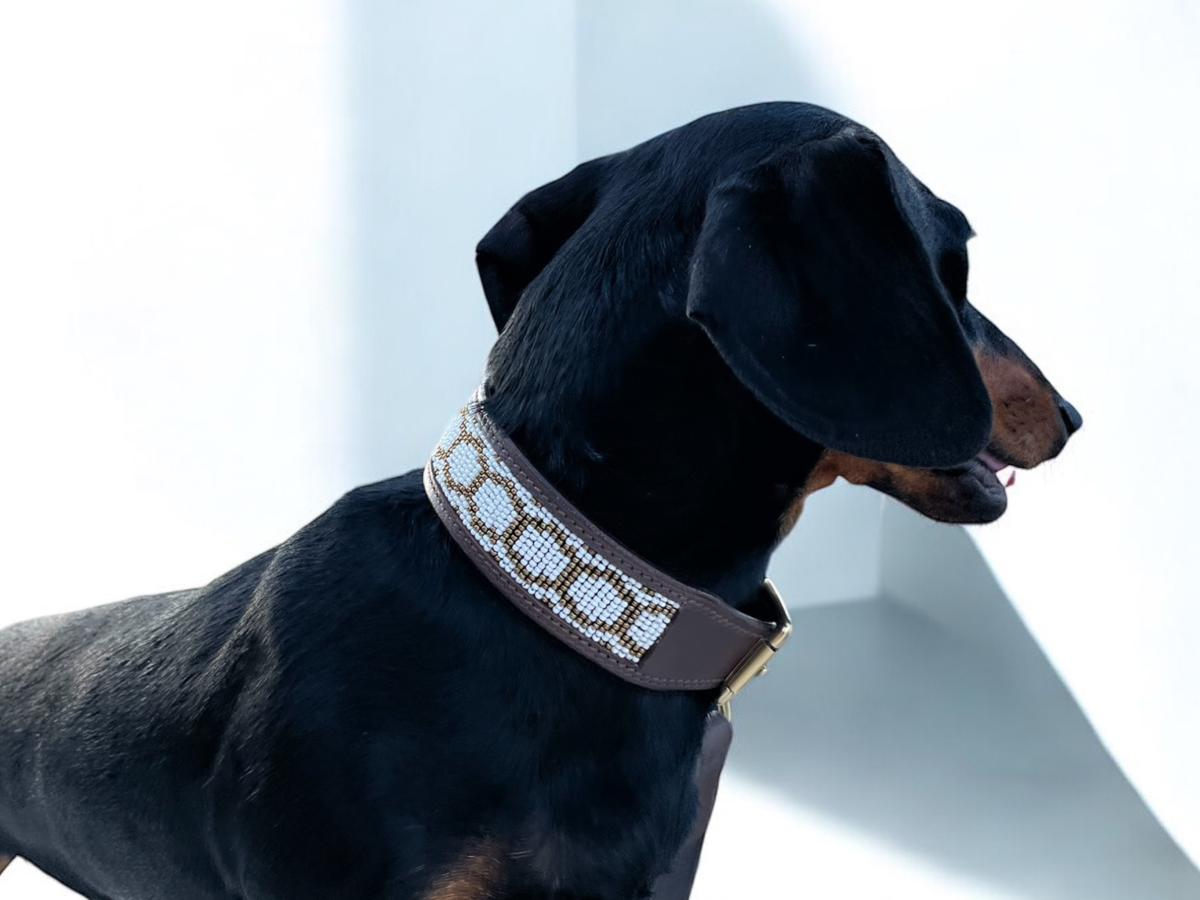 Collar Purnama