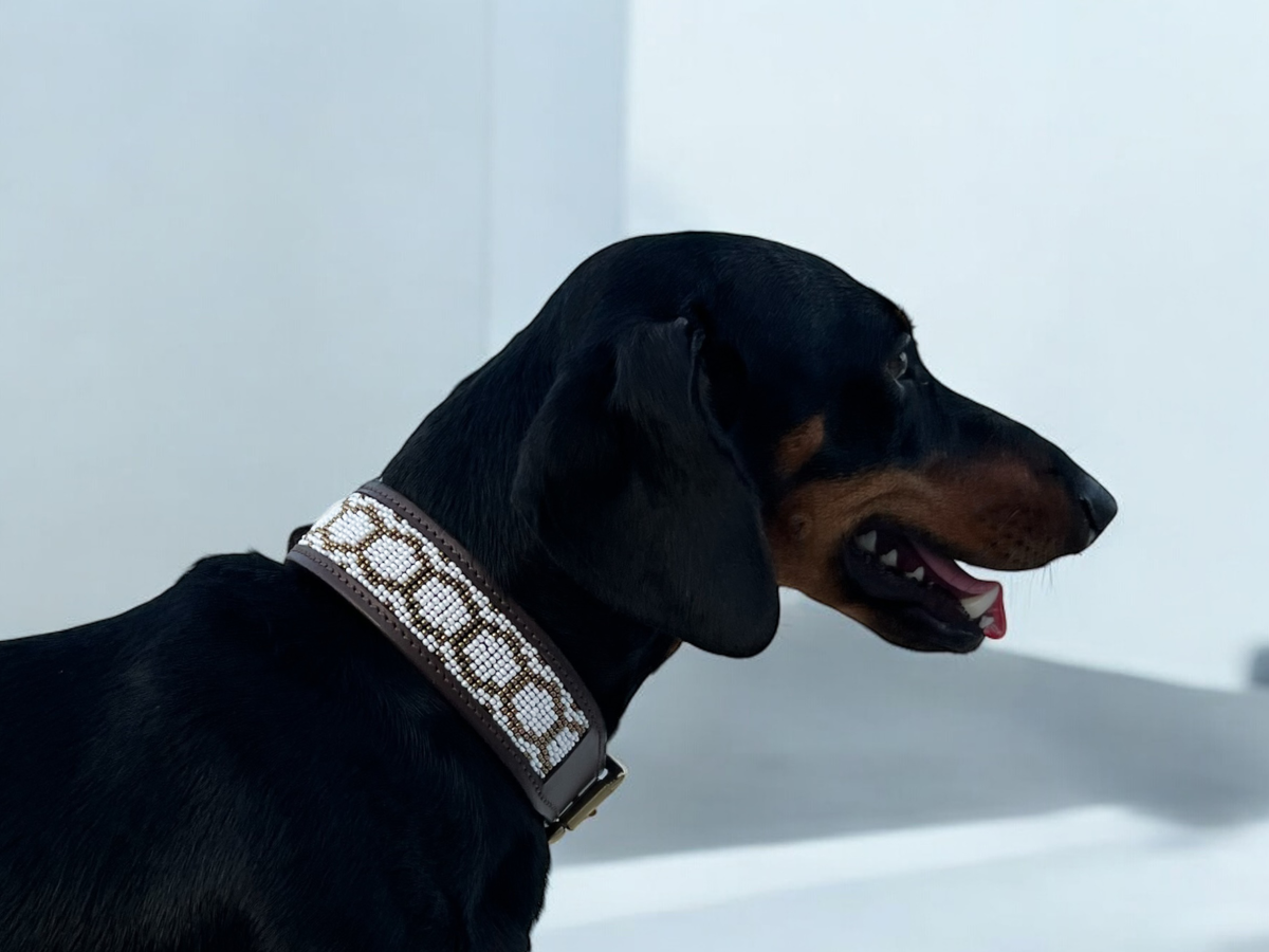 Collar Purnama