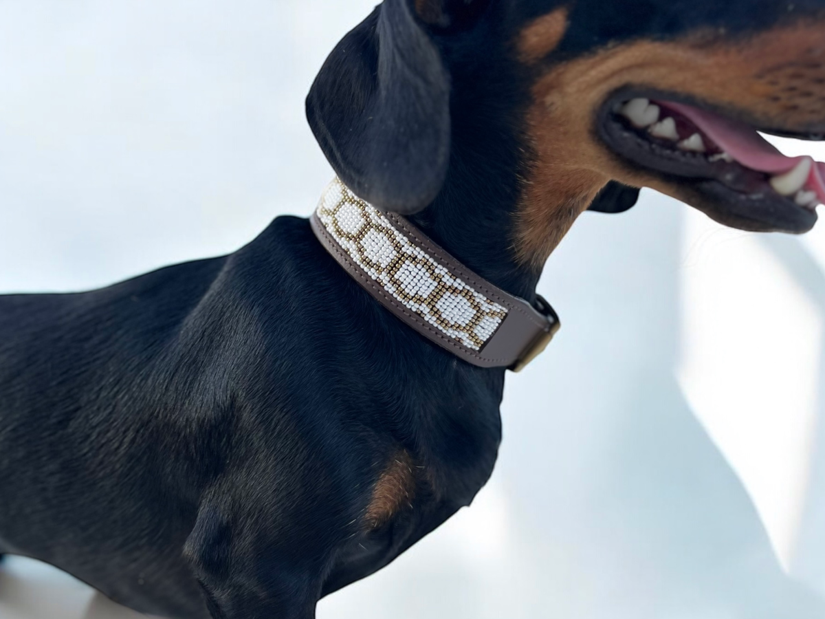 Collar Purnama