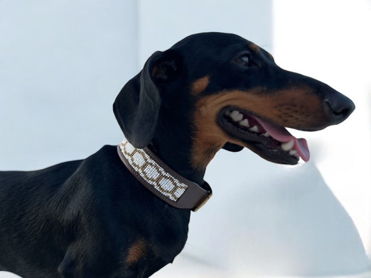 Collar Purnama